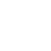 Icon inverse